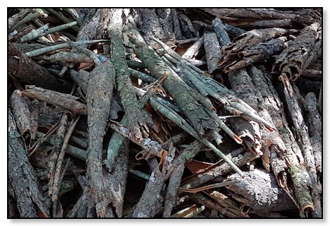 Captura de pantalla 2018-07-10 a la(s) 20.49.16