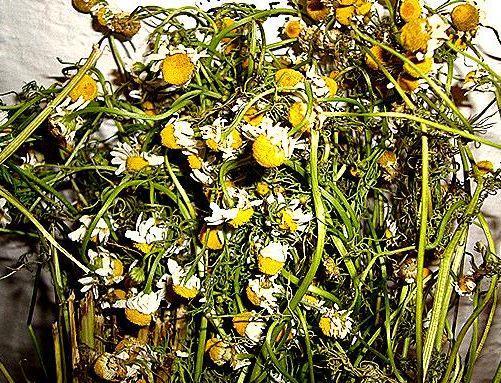 Captura de pantalla 2018-07-10 a la(s) 21.00.37